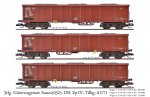3tlg Güterwagenset Eanos[052]; DB; Ep.IV; Tillig; 01771; Ladegut Kohle.jpg