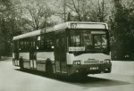 Busse006.jpg