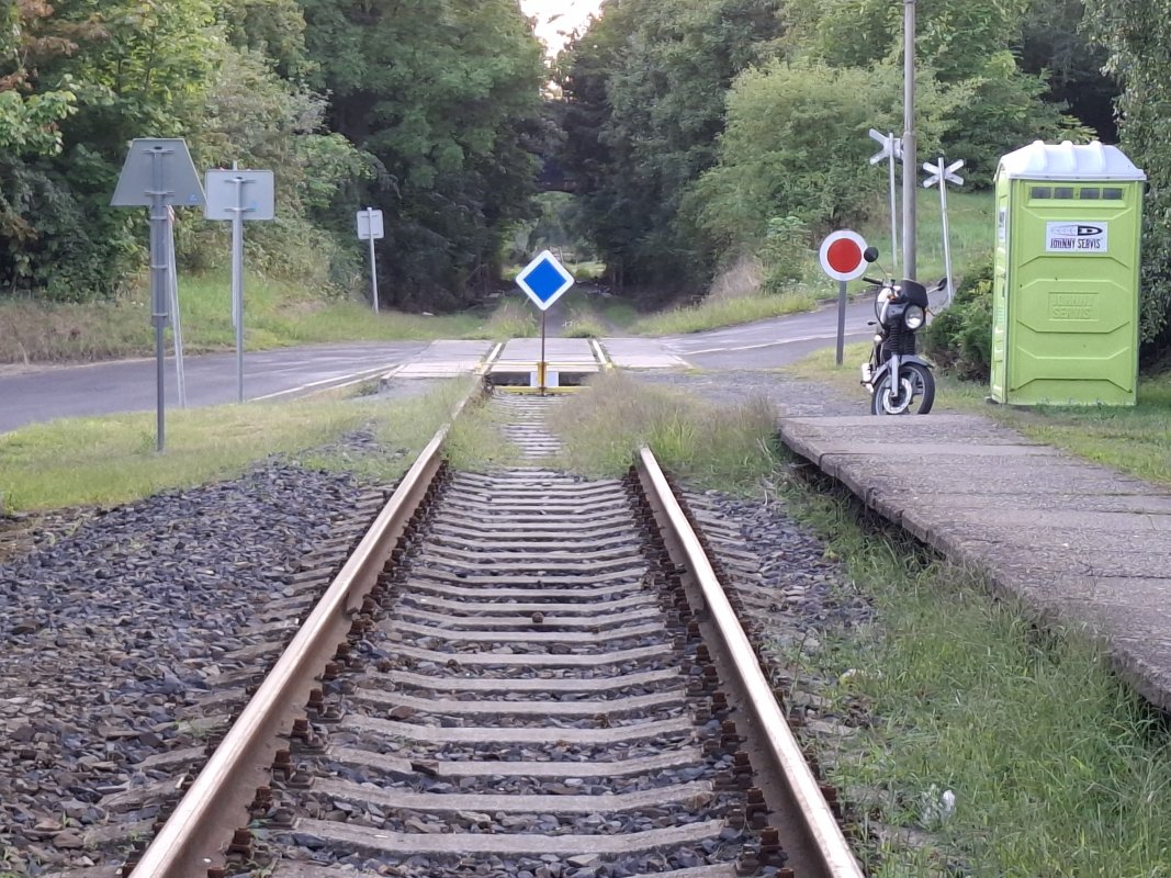 1000054560.jpg