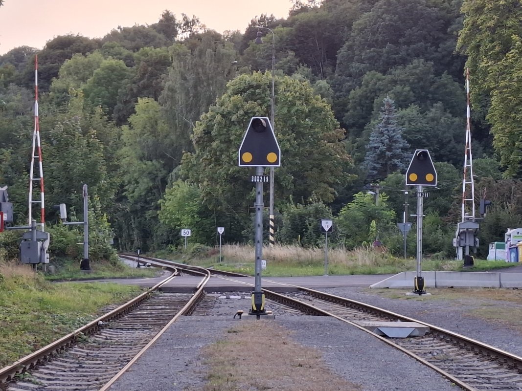1000054565.jpg
