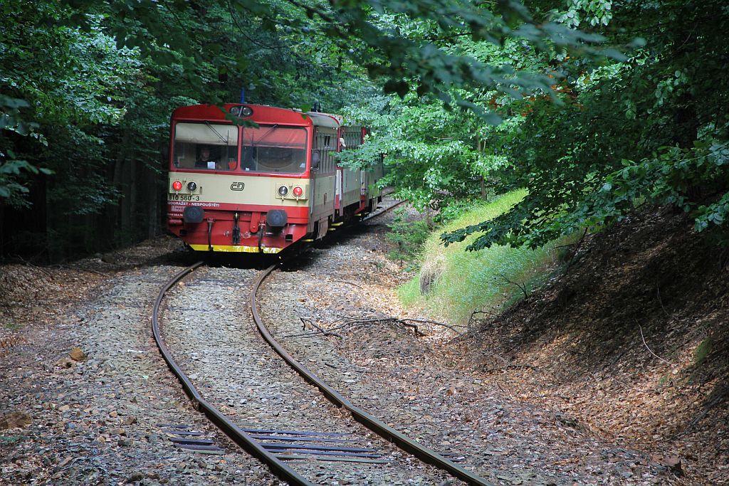 IMG_5379-Bergfahrender-Zug.JPG