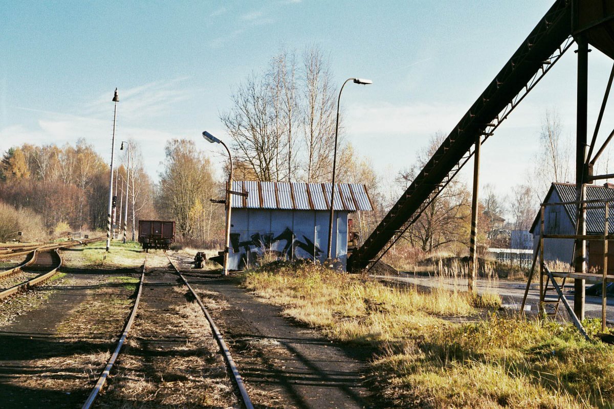 Kohlenschnecke c.jpg