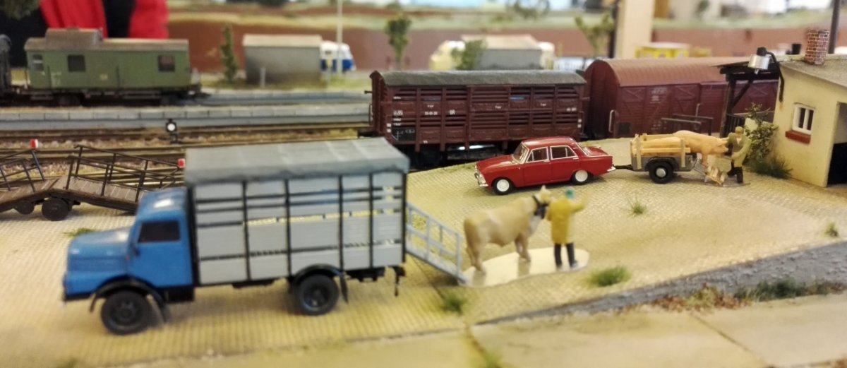Viehwagen_05.jpg