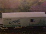 DSC00031.JPG