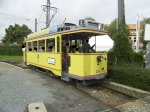 RIMG0897 k.JPG