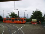 RIMG7047k.JPG
