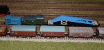 DSC_1102_board.jpg