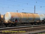StE_20120428_000377.jpg
