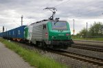 IMGP9190.jpg