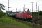 IMGP9225.jpg