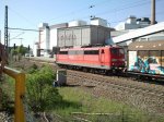 2012-05-15 10.37.29.jpg