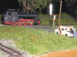 20120609_06.jpg