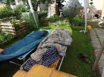 DSC00649.jpg
