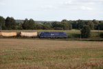 183_500-MGW-beiAngermünde-6sep12-MME_00882.JPG