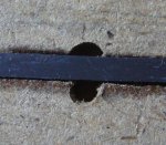 Einbau-Hall-Sensor_1.jpg