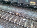 10082012082.jpg