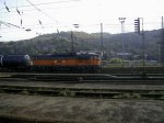 k-PIC_3262.JPG
