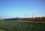 100_9784.JPG