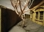 SDS 04.01.2013 012.JPG