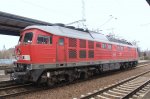 232 668 in Ruhland.jpg