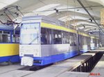 Leoliner 1302.jpg
