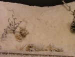 winterdio-2.jpg