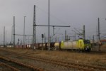 IMGP6564.jpg