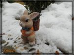 comp_IMG_0578.jpg