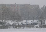 Winterostern 2013.jpg