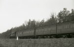 C3_DR_07.jpg