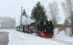 IMG_1140.jpg