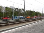 Wannsee 30_04_2013 3.jpg