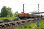 IMGP8757.jpg