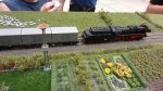 ttDSC00942.jpg