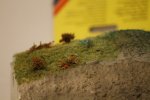 Wiese links.jpg