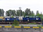 IMG_3592.JPG