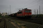 IMGP9558.jpg