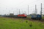 IMGP9572.jpg