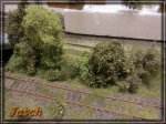 comp_IMG_0837.jpg