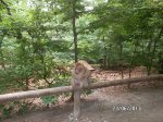 SAM_0375.jpg