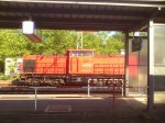 DSC_8928.jpg