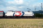 1116-264.jpg