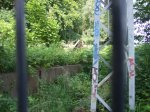 DSCF6517.jpg