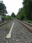 DSCF6470.jpg