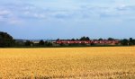 IMG_5041.JPG