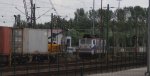E11-EGP.jpg