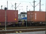 E11-EGP-2.jpg
