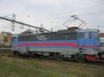 IMG_1184.jpg