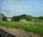 Genshagener-Heide1.jpg
