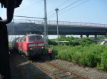 218-446.jpg